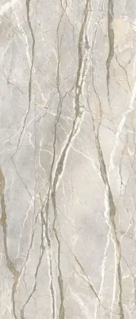 Керамогранит PF60017226 Supreme Hedonism Silver Roots Lux 3D R 120x280