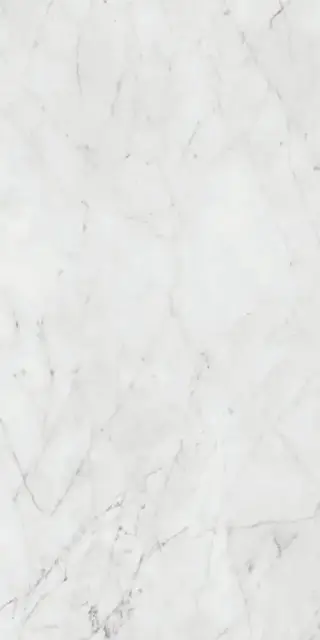 Керамогранит PF60012758 Carrara Nat Ret 60x120