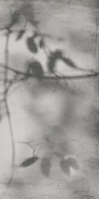 Керамогранит PF60012582 Art Walls Shadow Nat R 60x120