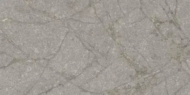 Керамогранит PF60011858 Supreme Memories Grey Soapstone Ant Ret 60x120