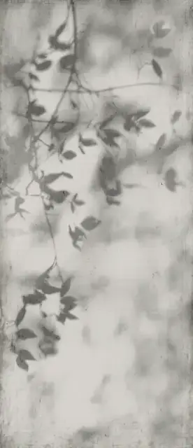 Керамогранит PF60010089 Art Walls Shadow Nat R 120x280