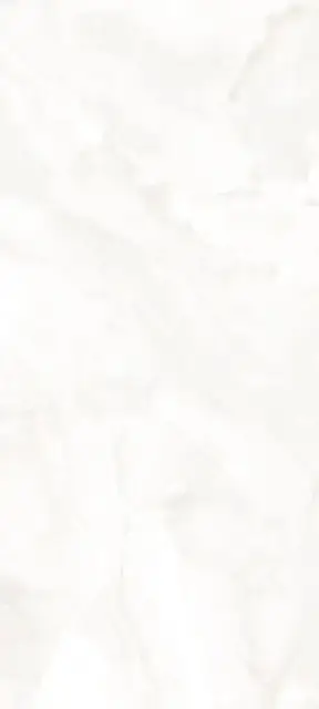 Керамогранит Oni White Matt 120x280