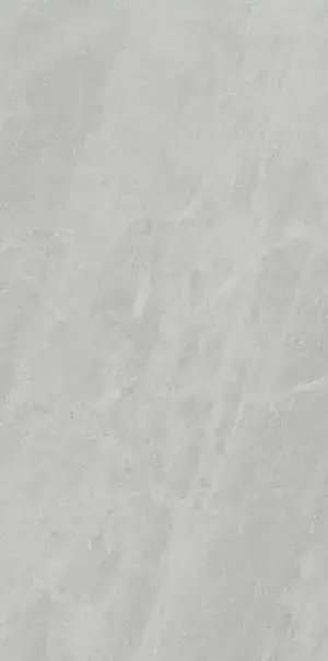 Керамогранит PL612498 Gris De Savoie Lucidato 60x120