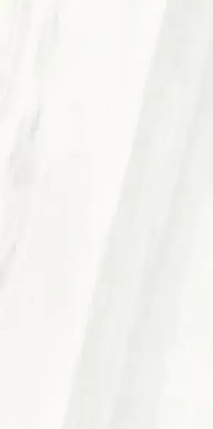 Керамогранит PL612480 Bianco Covelano Lucidato 60x120