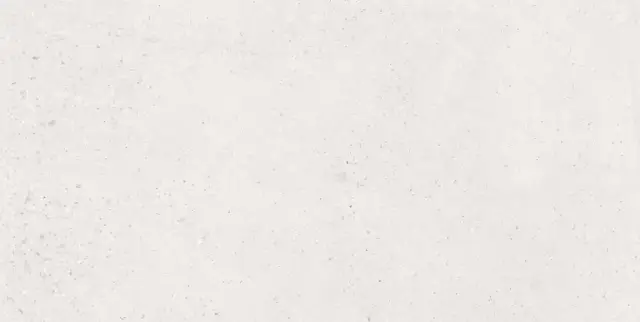Керамогранит Memory Blanco Matt 60x120