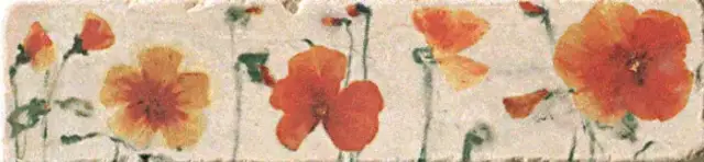 Керамогранит Listello Style 5x20