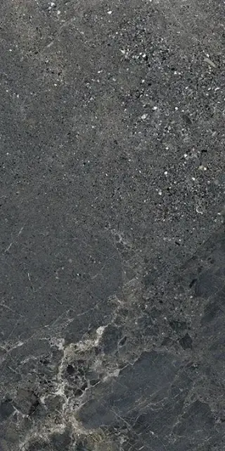 Керамогранит LGXAL50 Anthology 05 Dark Worn RT 9.5mm 60x120