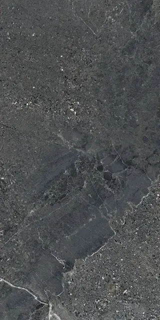 Керамогранит LGXAL55 Anthology 05 Dark Nat. RT 9.5mm 60x120