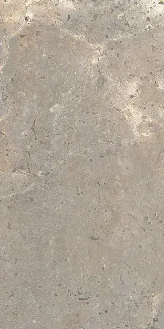 Керамогранит LGXAL30 Anthology 03 Earth Worn RT 9.5mm 60x120