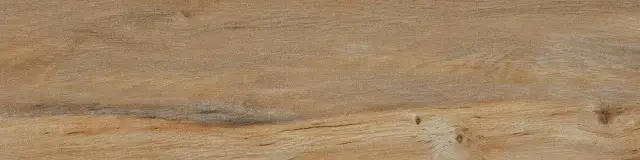 Керамогранит Leccio Classico 10x40