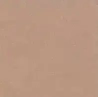 Керамогранит L4404-1Ch Caramel - Loose 10х10