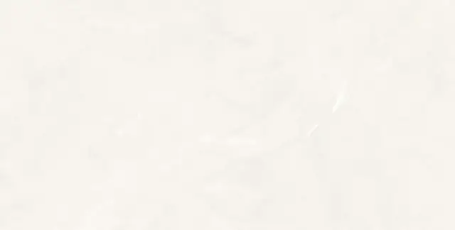 Керамогранит Isea White 60x120