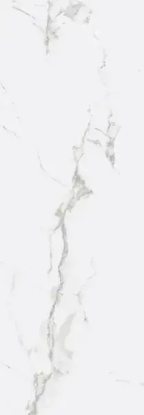 Керамогранит ICEBERG NPLUS 29x84