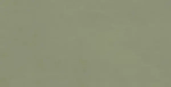 Керамогранит I858 Multiforme Muschio RT 40х80