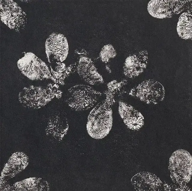 Керамогранит GAC25 Chymia Ophelia Black 30x30