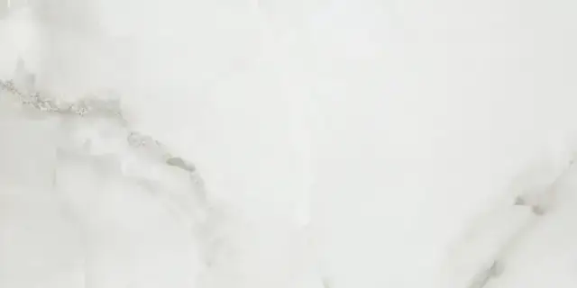 Керамогранит FENIX GRIS 60x120