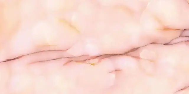 Керамогранит EMMQ Tele Di Marmo Pure Onyx Malva Full Lappato 9mm 60x120