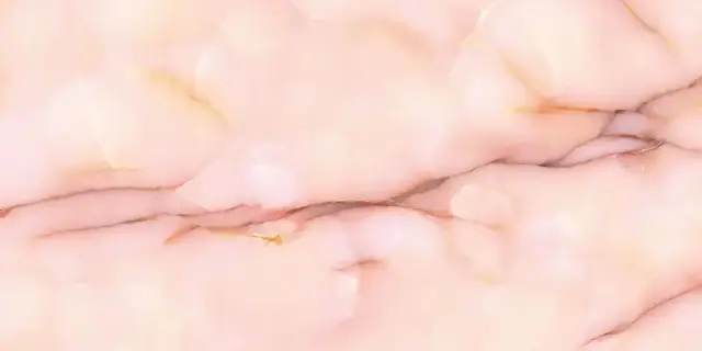 Керамогранит EMLZ Tele Di Marmo Pure Onyx Malva Silktech 9mm 60x120