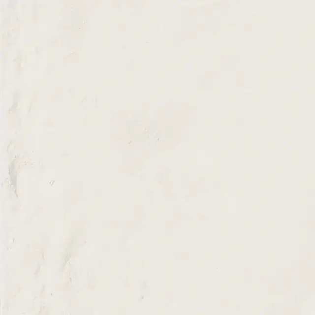 Керамогранит EMG8 Forme Bianco Assoluto Silktech 9mm 80x80