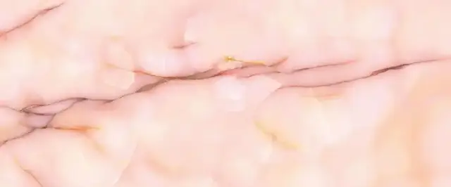 Керамогранит EMFX Tele Di Marmo Pure Onyx Malva Full Lappato 6,5mm 120x278