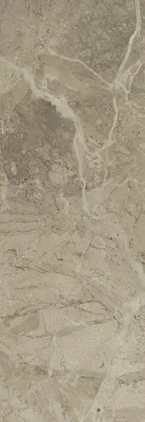 Керамогранит ELEGANCE NATURAL NPLUS 29x84