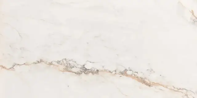 Керамогранит Cr.Pisa Gold Compacglass Rect 60x120