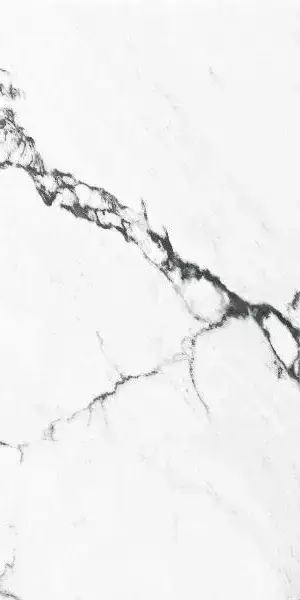 Керамогранит Calacatta Black Polished Rect 60x120