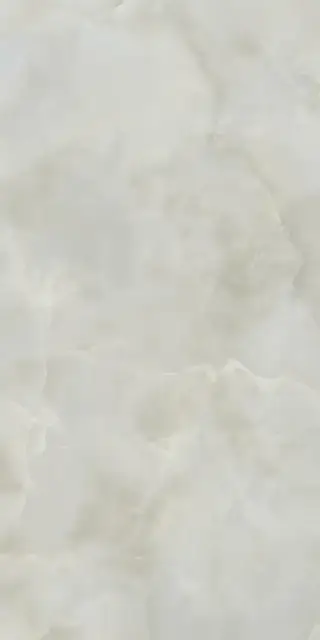 Керамогранит AIAX Anima Ever Royal Onyx Matt RT R10B 60x120