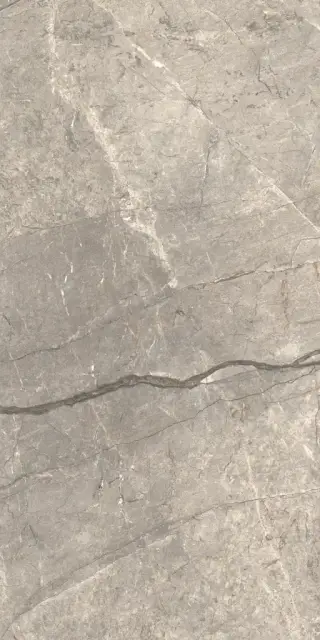 Керамогранит AIAV Amazing Silver Liscio Matt 60x120