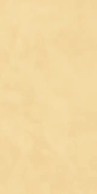 Керамогранит AHEE Join Mango Soft 60x120