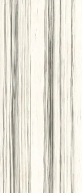 Керамогранит AE ZEB6 278 LP 120x278