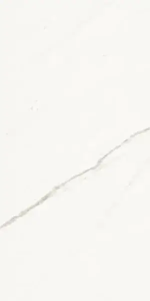 Керамогранит AE EXT6 12 RM 60x120