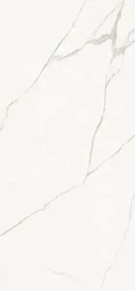 Керамогранит AE EXT6 260 LP 120x260