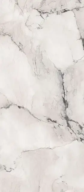 Керамогранит AE CAM6 278 LPM 120x278