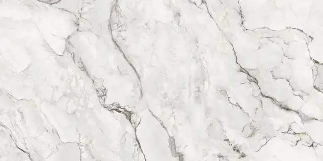 Керамогранит 80O134E Camouflage Natural 60x120