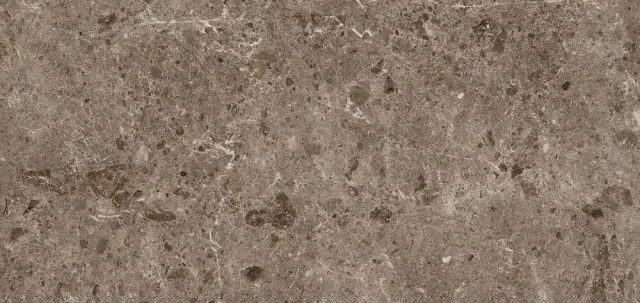 Керамогранит 78RC27P Coverlam Artic Moka Pulido 120x260