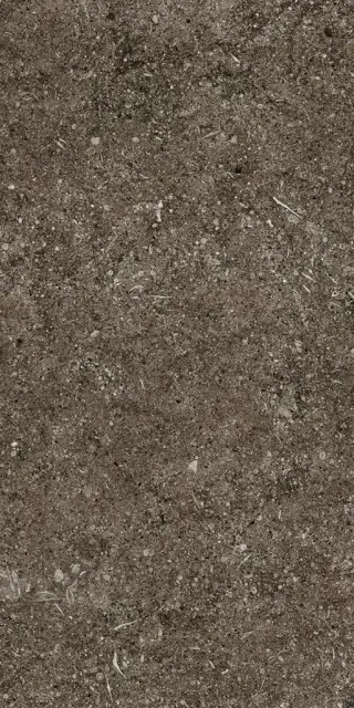 Керамогранит 768353 Sensi Brown Fossil Ret 40x80