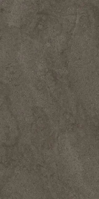 Керамогранит 768324 Sensi Brown Dust Ret 60x120