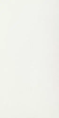 Керамогранит 751171 B&W WHITE HIGH-GLOSSY RET 6mm 160X320