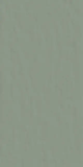 Керамогранит 749558 Neutra 6.0 09 Oliva Ret 6mm 120x240