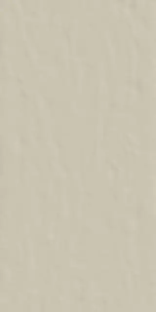 Керамогранит 749162 Neutra 6.0 02 Polvere Ret 6mm 60x120