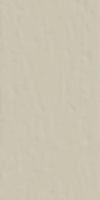 Керамогранит 748488 Neutra 6.0 02 Polvere Ret 6mm 120x240