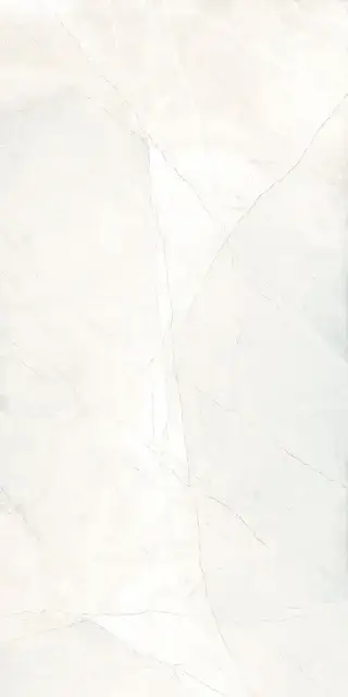 Керамогранит 65403 Bianco Sat/Rett 60x120