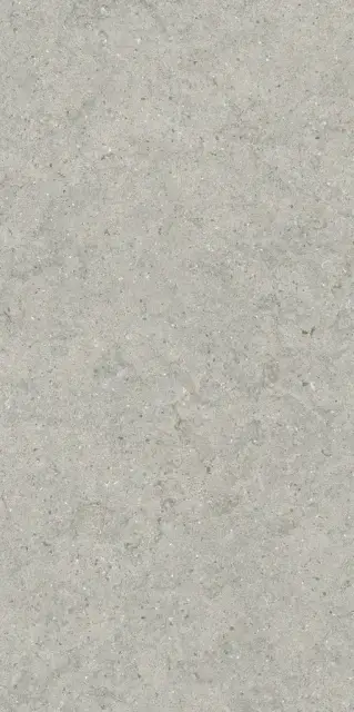 Керамогранит 610010004168 Forum Stone Silver Ret 60x120
