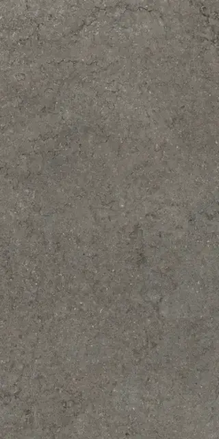 Керамогранит 610010002730 Discover Fume 60x120