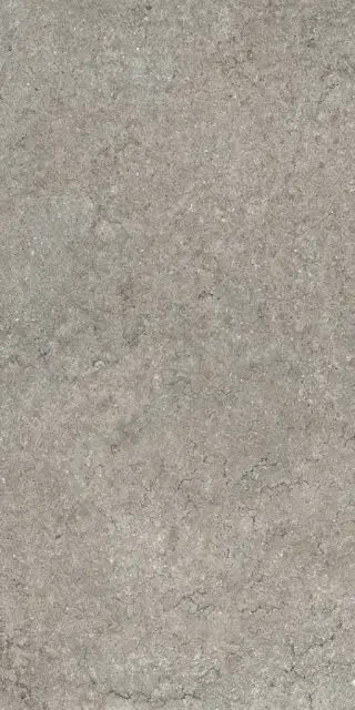 Керамогранит 610010002728 Discover Grey 60x120