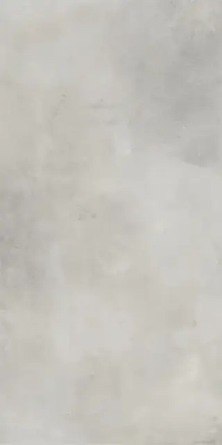 Керамогранит 610010001458 Millenium Silver Nat Ret 60x120