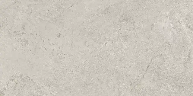 Керамогранит 44EA39R Elba Gris Rec. R10 60x120