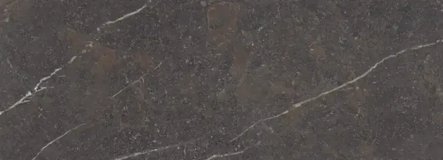 Керамогранит 42904 Royal Brown ST/100X275/R 100x275