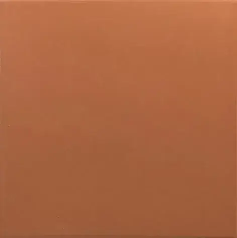 Керамогранит 30718 Rivoli Terre 20x20